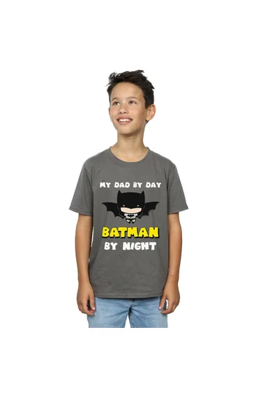 تيشيرت قطن دي سي كوميكس رمادي