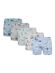 5-Pack Donella Boys' Boxer Briefs - Cotton - 3