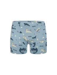 5-Pack Donella Boys' Boxer Briefs - Cotton - 4