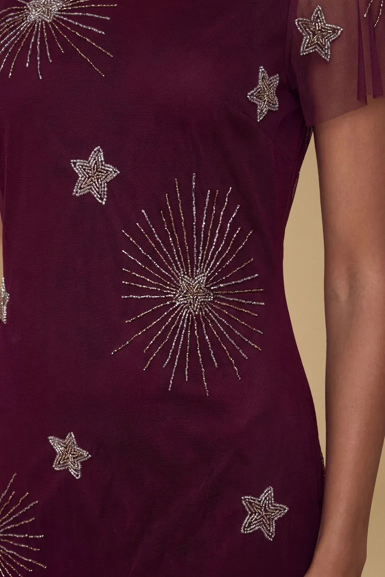 Petite Celestial Mesh Maxi Dress - 3