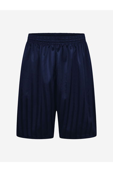Zeco Kids School Shadow Stripe Shorts in Navy