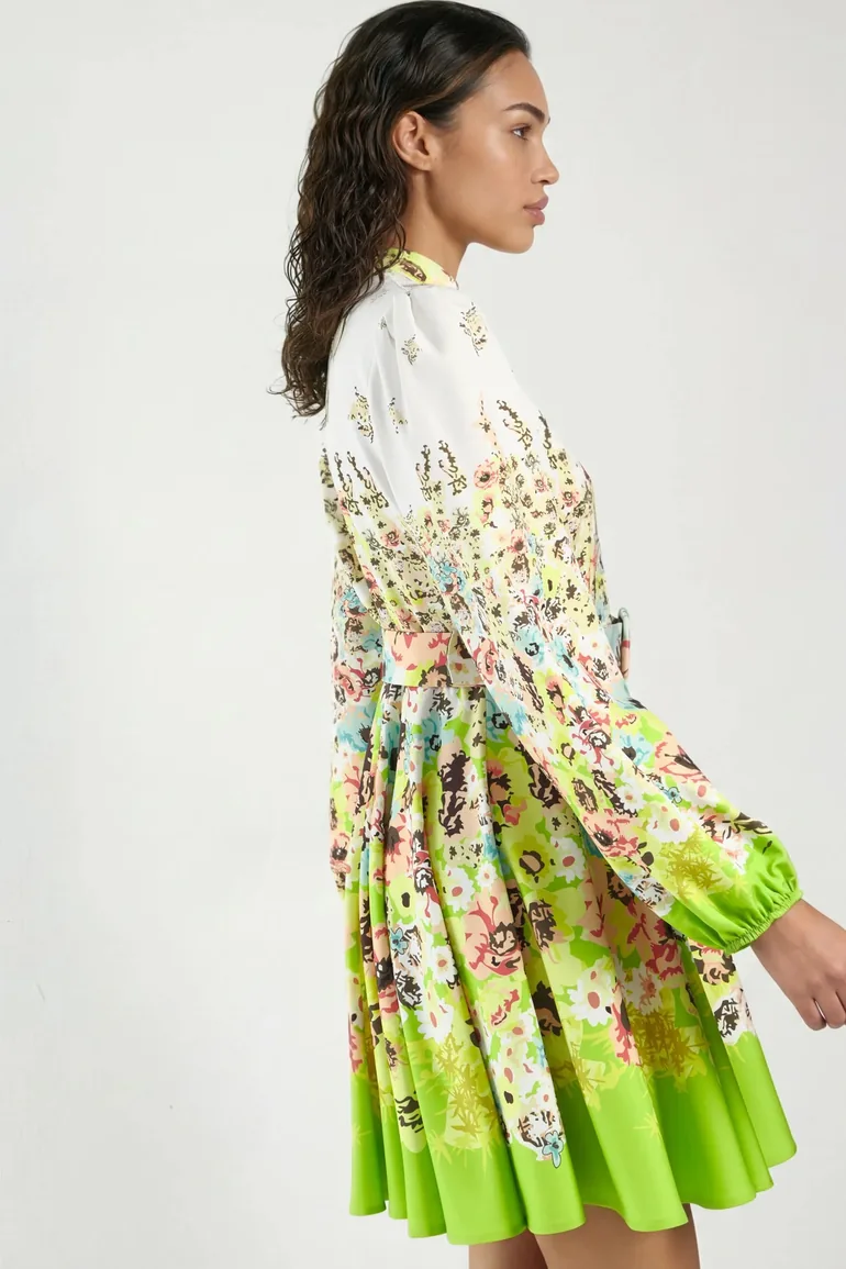 MSN Printed Mini Dress with V-Neck - 2