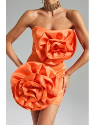 Egbert Flower Strapless Mini Dress - 3