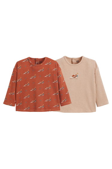 Pack of 2 T-Shirts in Printed Cotton with Long Sleeves