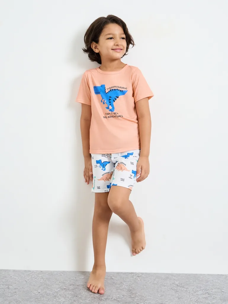Boys Dinosaur Print T-Shirt and Shorts Set