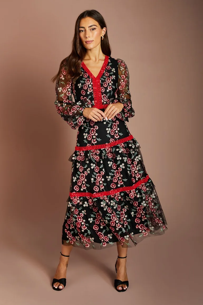 Embroidered Mesh Long Sleeve V Neck Midi Dress