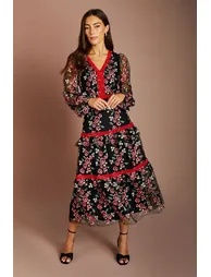 Embroidered Mesh Long Sleeve V Neck Midi Dress