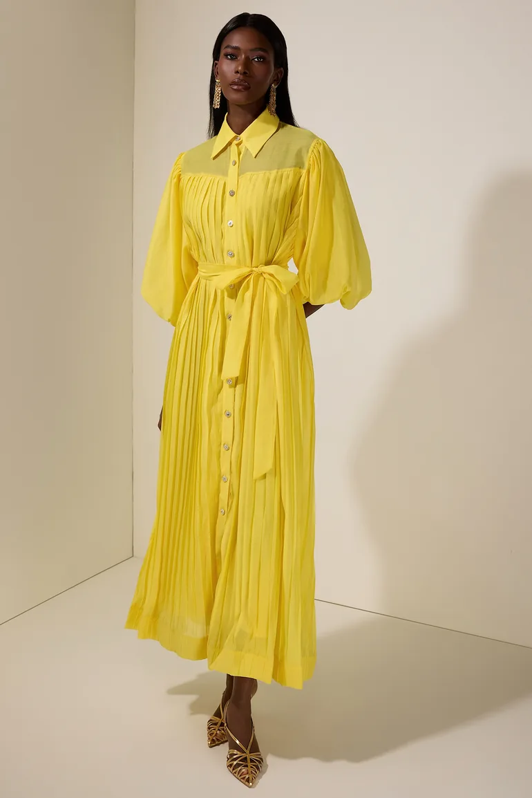 Chiffon Pleated Puff Sleeve Midi Dress JardinVue : Day Dresses : VogaCloset  Jordan