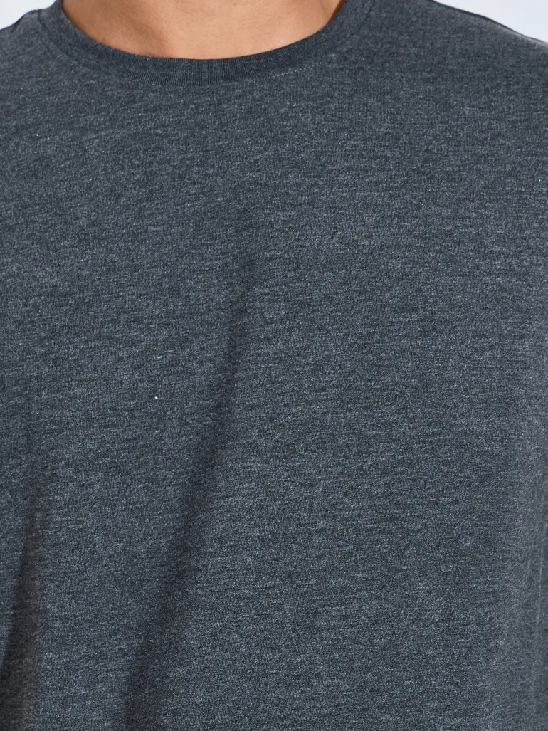 Men Regular Fit Cotton Rich Jersey T-Shirt - 2