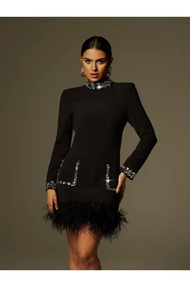 Cosma Long Sleeve Rhinestone Feather Mini Dress