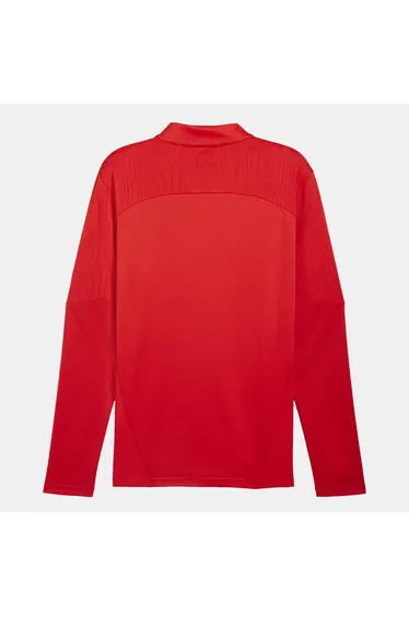 Men's Puma Stade Rennais Fc Training 1/4 Zip Top in Red