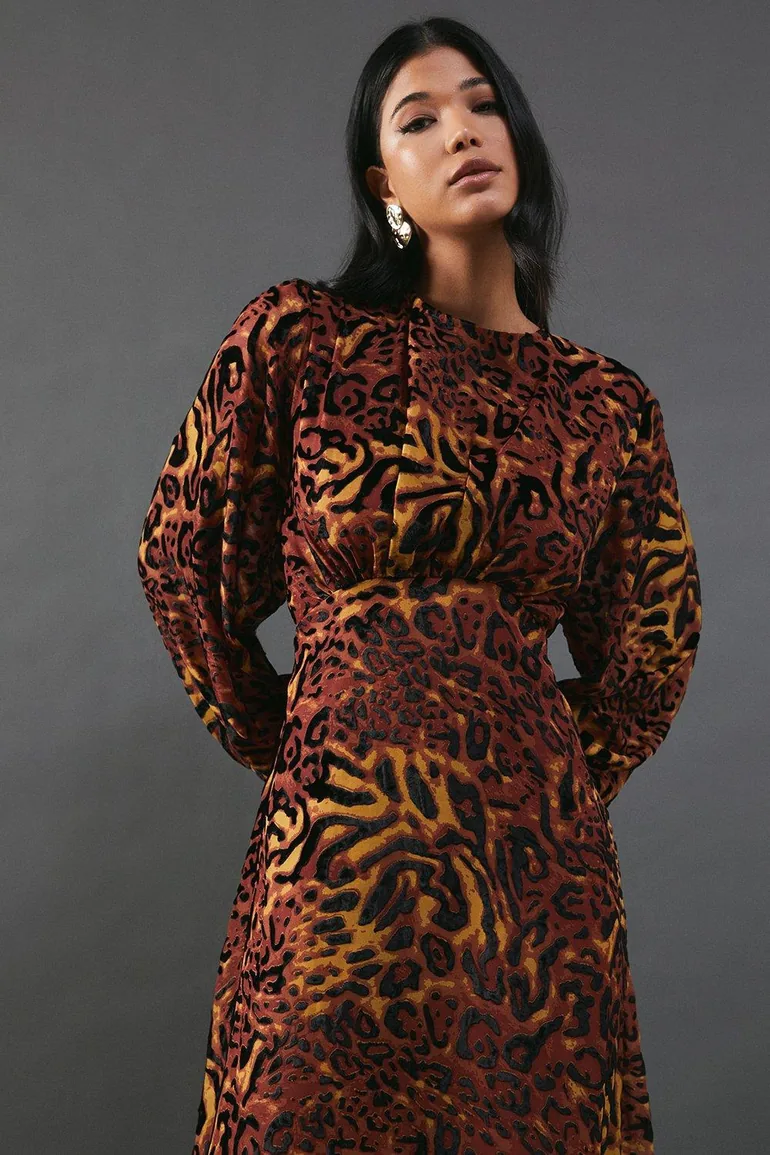 Burnout Devore Balloon Sleeve Empire Seam Dress - 3
