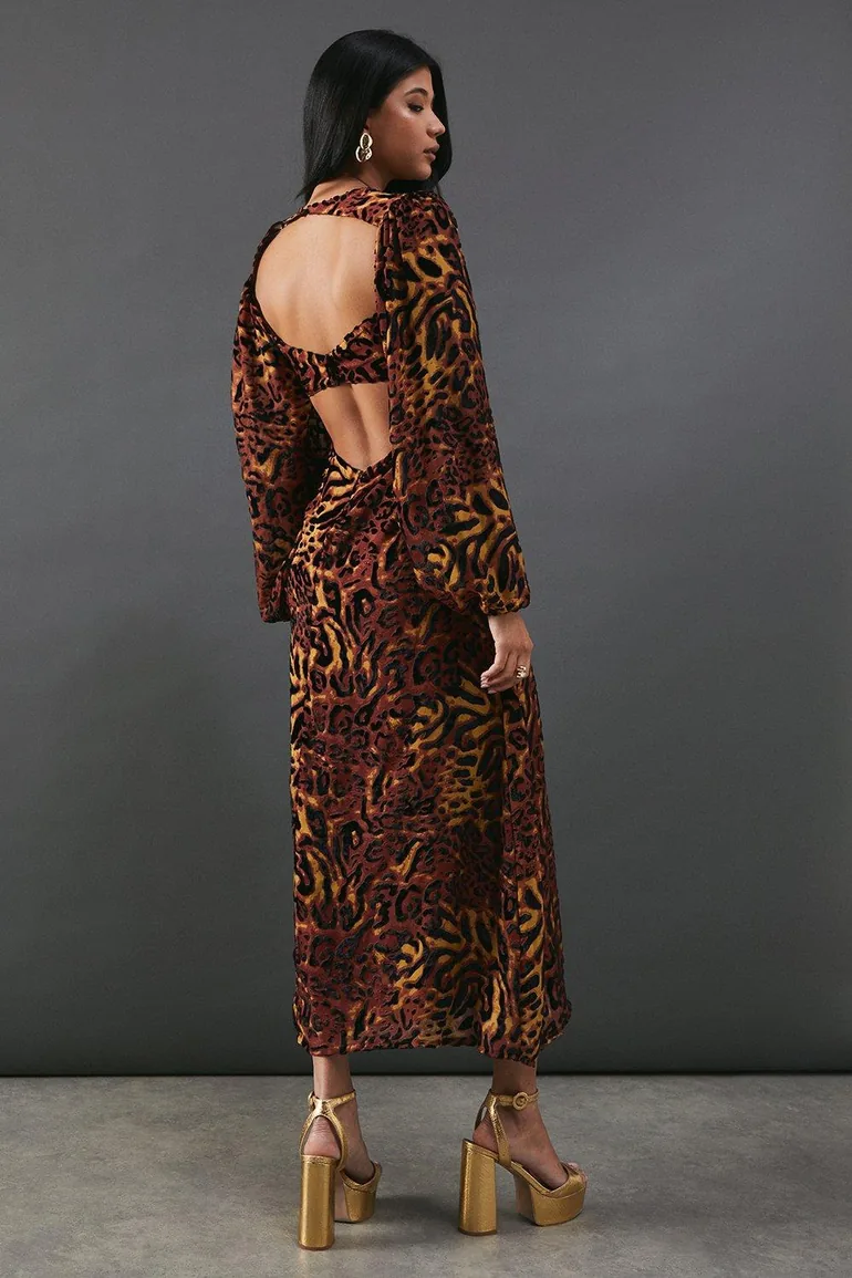 Burnout Devore Balloon Sleeve Empire Seam Dress - 2