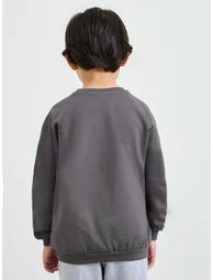 Toddler Unisex Raglan Sleeve Cotton Regular Fit Sweatshirt - 5