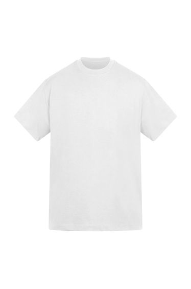 Anthem Unisex Adult Amplify Heavyweight T-Shirt - White
