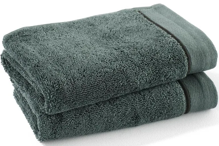 Set of 2 Victor 100% Cotton Guest Towels