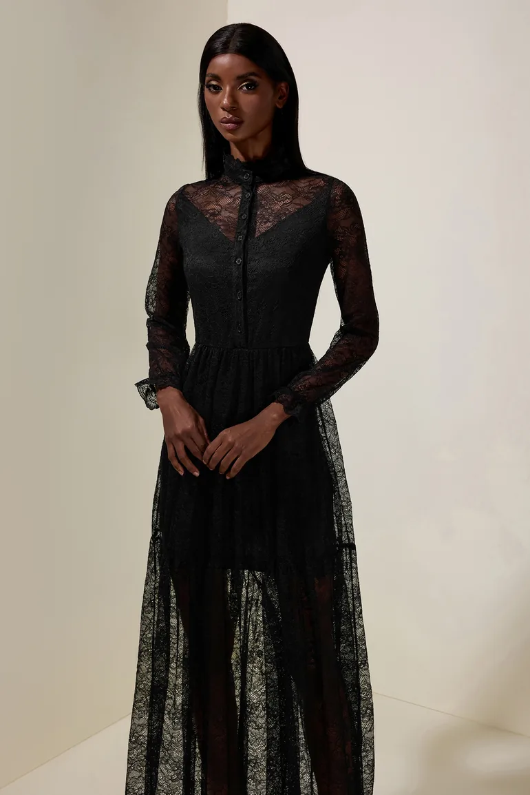 Lace Long Sleeve See-Through Maxi Dress JardinVue Black : Evening