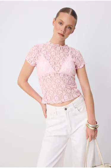 Pink Plain Fitted Crew Neck Standard Sleeve Short Crop Lace Knitted Blouse