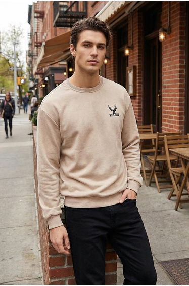 Beige Oversize/Wide Cut Long Sleeve Animal Embroidered Sweatshirt product thumbnail 2