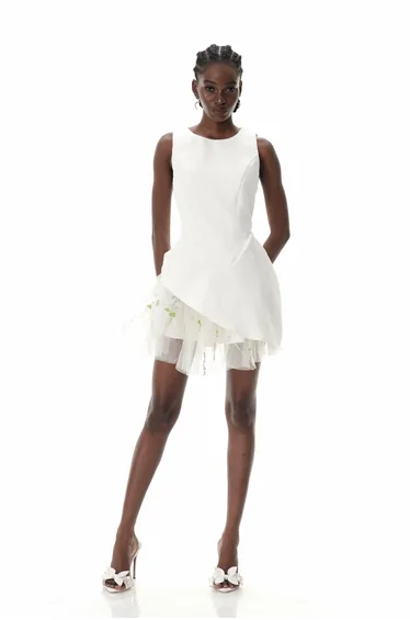 Brais Asymmetric Mesh Mini Dress