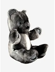 Unisex Teddy Bear - 1