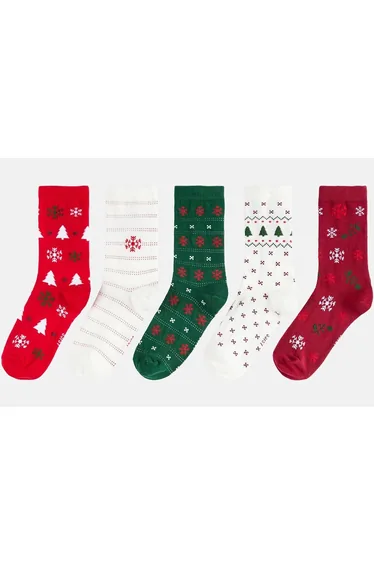 Pack of 5 Pairs of Socks