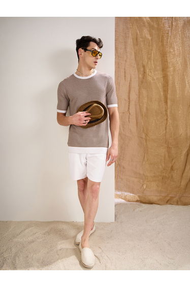 Beige and Brown Stripes Premium Knit T-Shirt