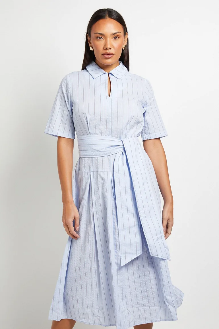 Cotton Blue Striped Collar Dress - 3