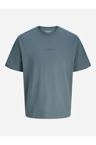 Grey Back Graphic Print Relaxed Fit T-Shirt