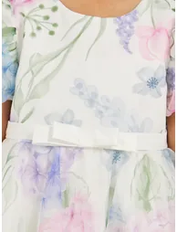 Printed Organza Puff Sleeve Dress - 2