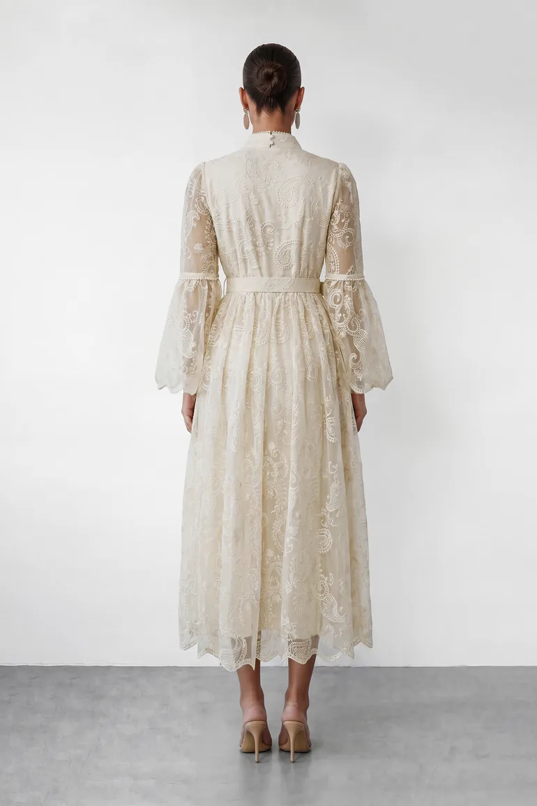 Admirable Elegance Beige Lace Embroidered Sheer Sleeve Maxi Dress - 3