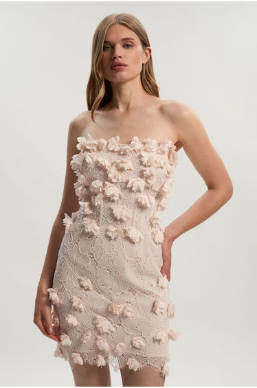Applique Lace Corset Woven Mini Dress