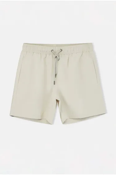Light Gray Regular Standard Swimwear Swim Shorts