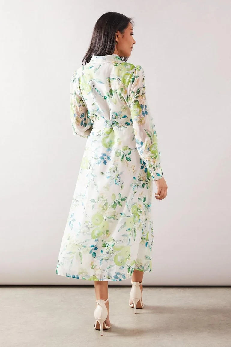 Petite Fruit Print Organza Belted Shirt Dress - 2