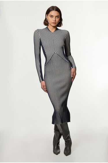Petite Stripe Fitted Long Sleeve Knitted Midi Dress