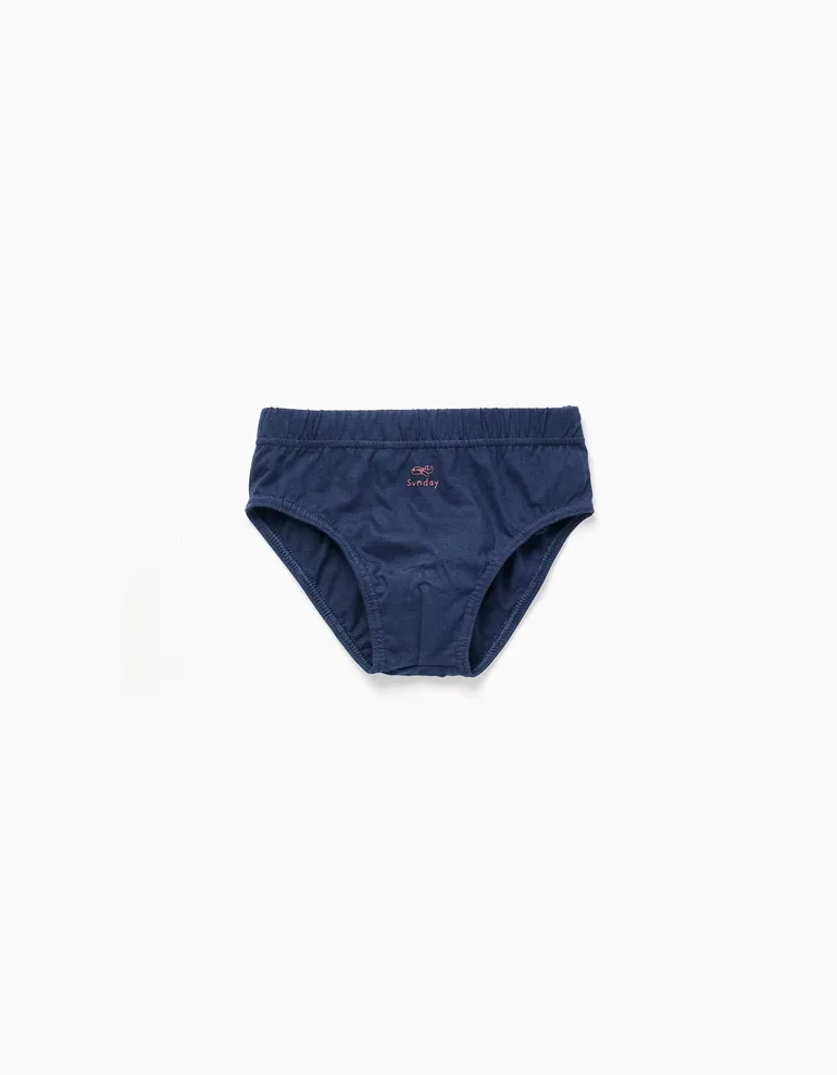 Pack Of 7 Cotton Briefs 'Days Of The Week' For Boys, Blue/Grey