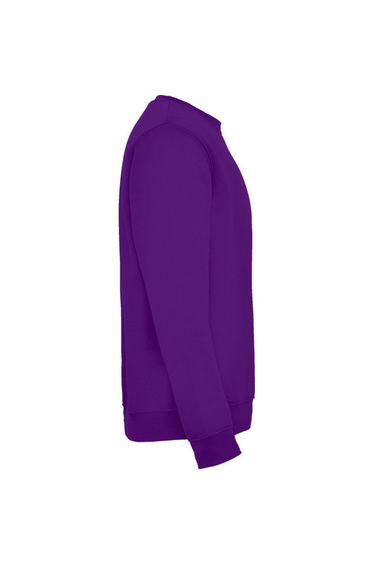Roly Unisex Adult Clasica Crew Neck Sweatshirt - Purple product thumbnail 3