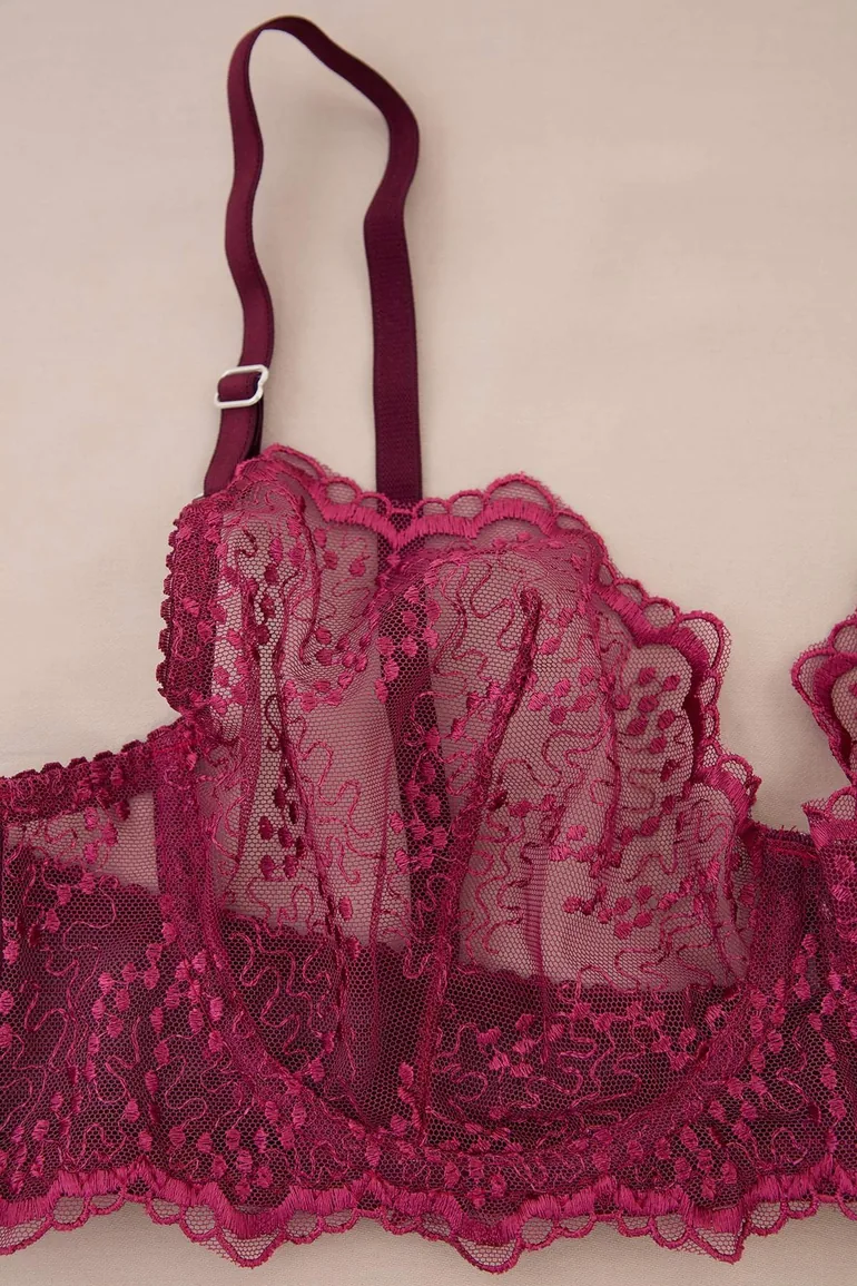 Burgundy Underwire Embroidered Floral Capless Plus Size Lingerie Set - 2