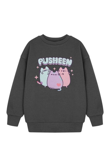Pusheen Girls Pastel Sweatshirt - Grey