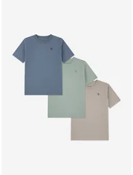 Abercrombie & Fitch Boys 3 Pack T-Shirt Set in Grey