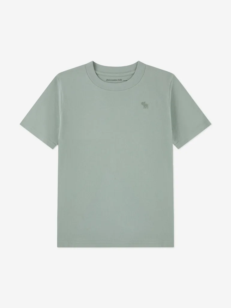 Abercrombie & Fitch Boys 3 Pack T-Shirt Set in Grey - 3