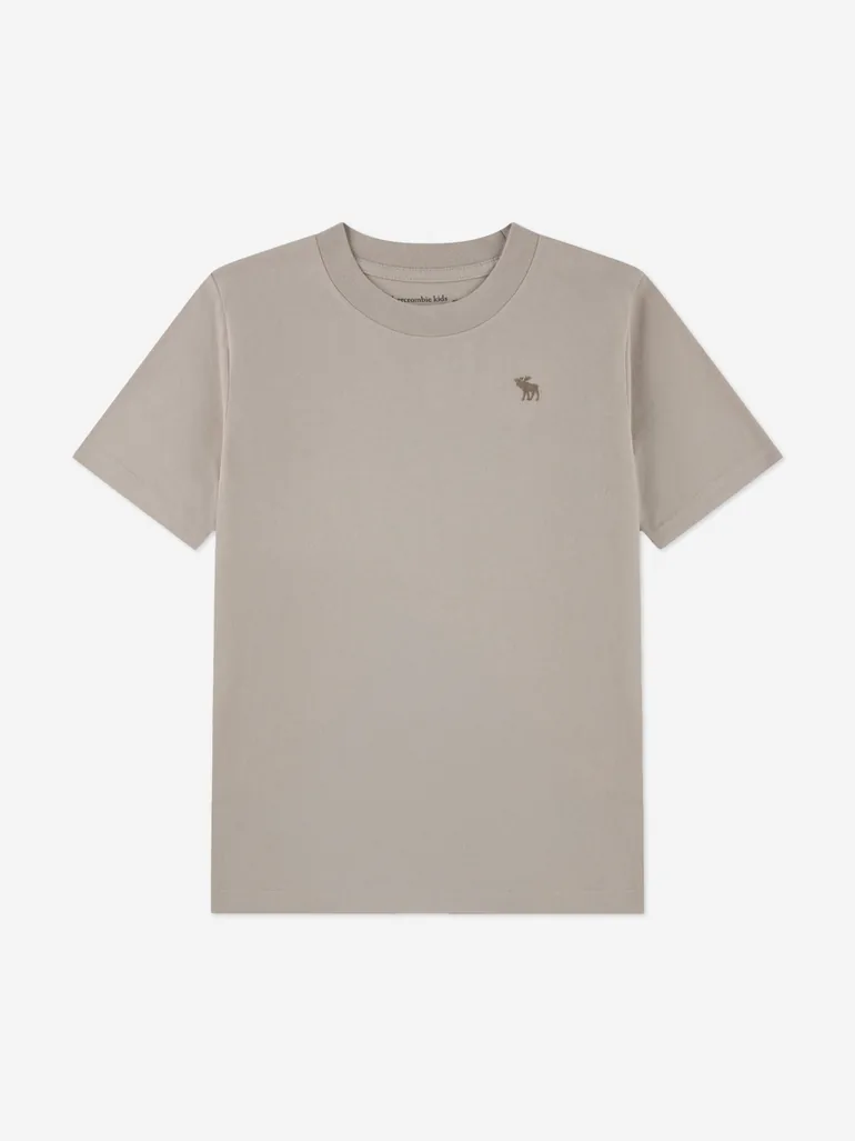 Abercrombie & Fitch Boys 3 Pack T-Shirt Set in Grey - 5