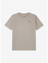 Abercrombie & Fitch Boys 3 Pack T-Shirt Set in Grey - 5