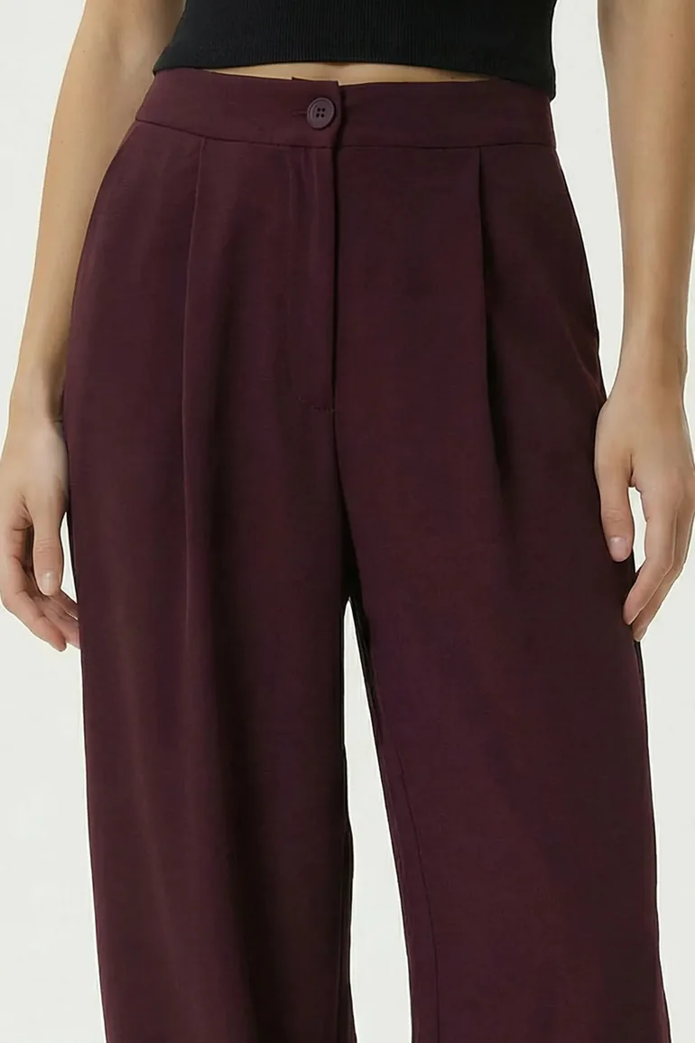 ISTANBUL High Waist Pleated Salwar Pants - 2