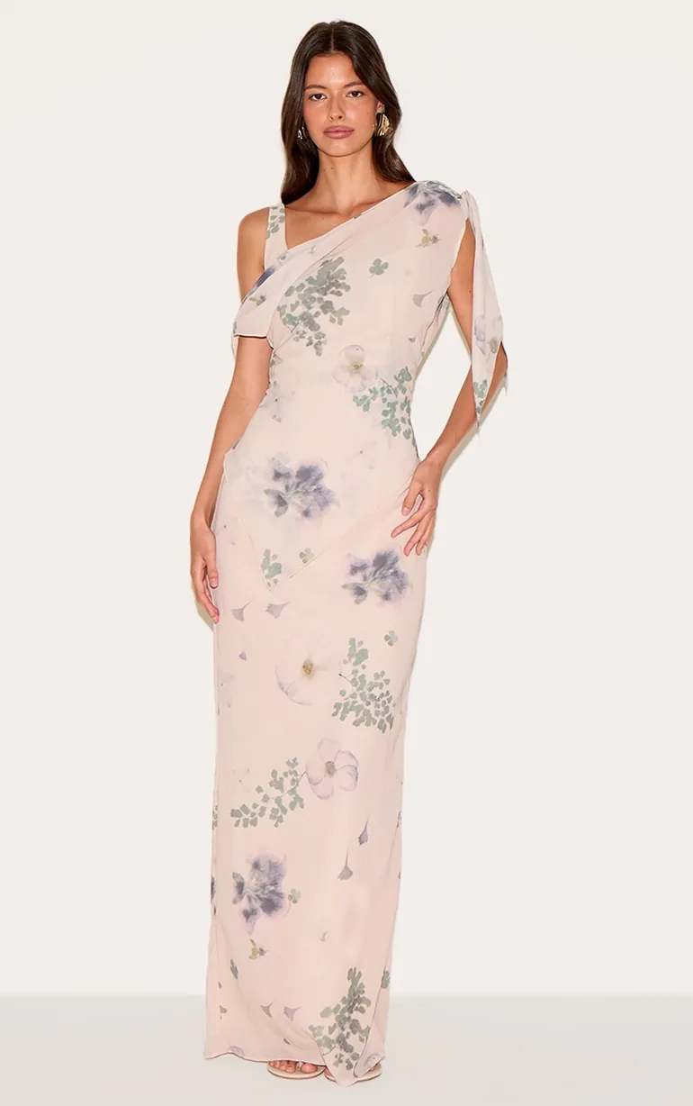 sachin and babi light blue dress Cream Floral Chiffon Long Sleeve Pleated Waist Maxi Dress main image 1
