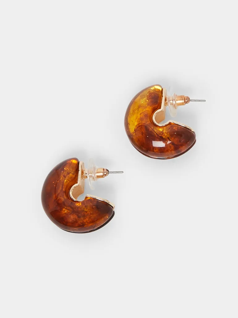 Tortoise Earrings - 1