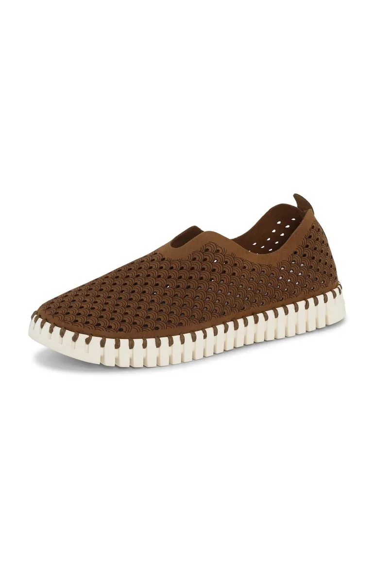 Tulip Laser Cut Out Shoe Tannin Brown - 1