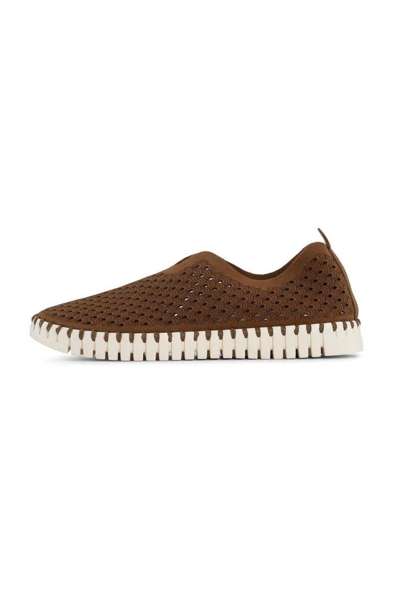 Tulip Laser Cut Out Shoe Tannin Brown