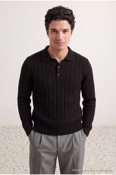 Black Regular/Normal Cut Line Textured Thick Polo Neck Knitwear Sweater product thumbnail 2